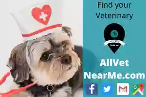 All Animal Care Veterinary Hospital