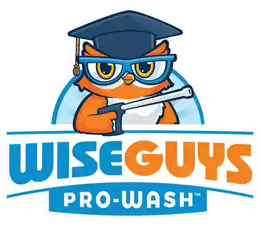 WiseGuys Pro-Wash