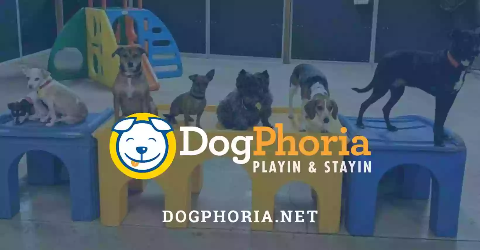 DogPhoria