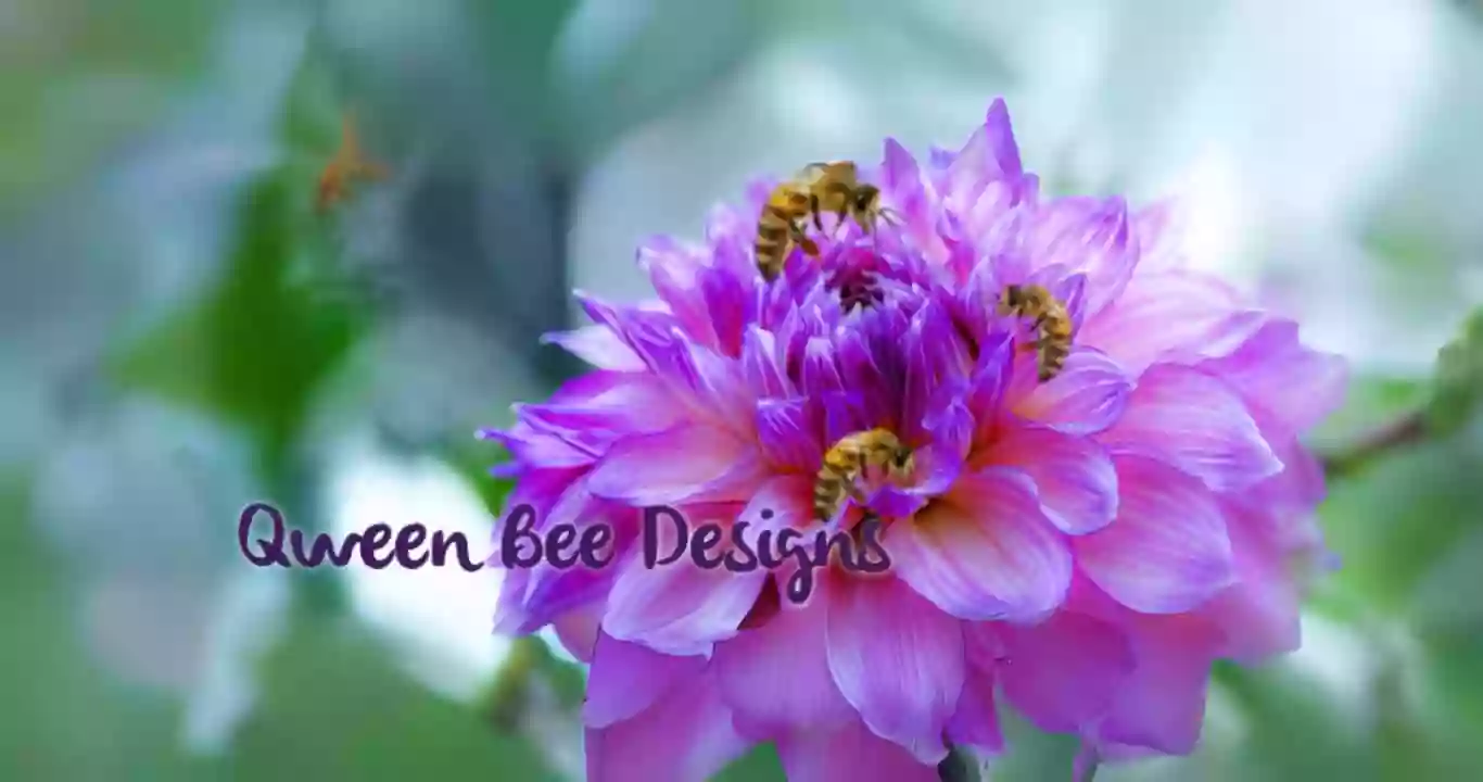 Qween Bee Designs