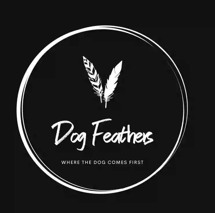 DogFeathers