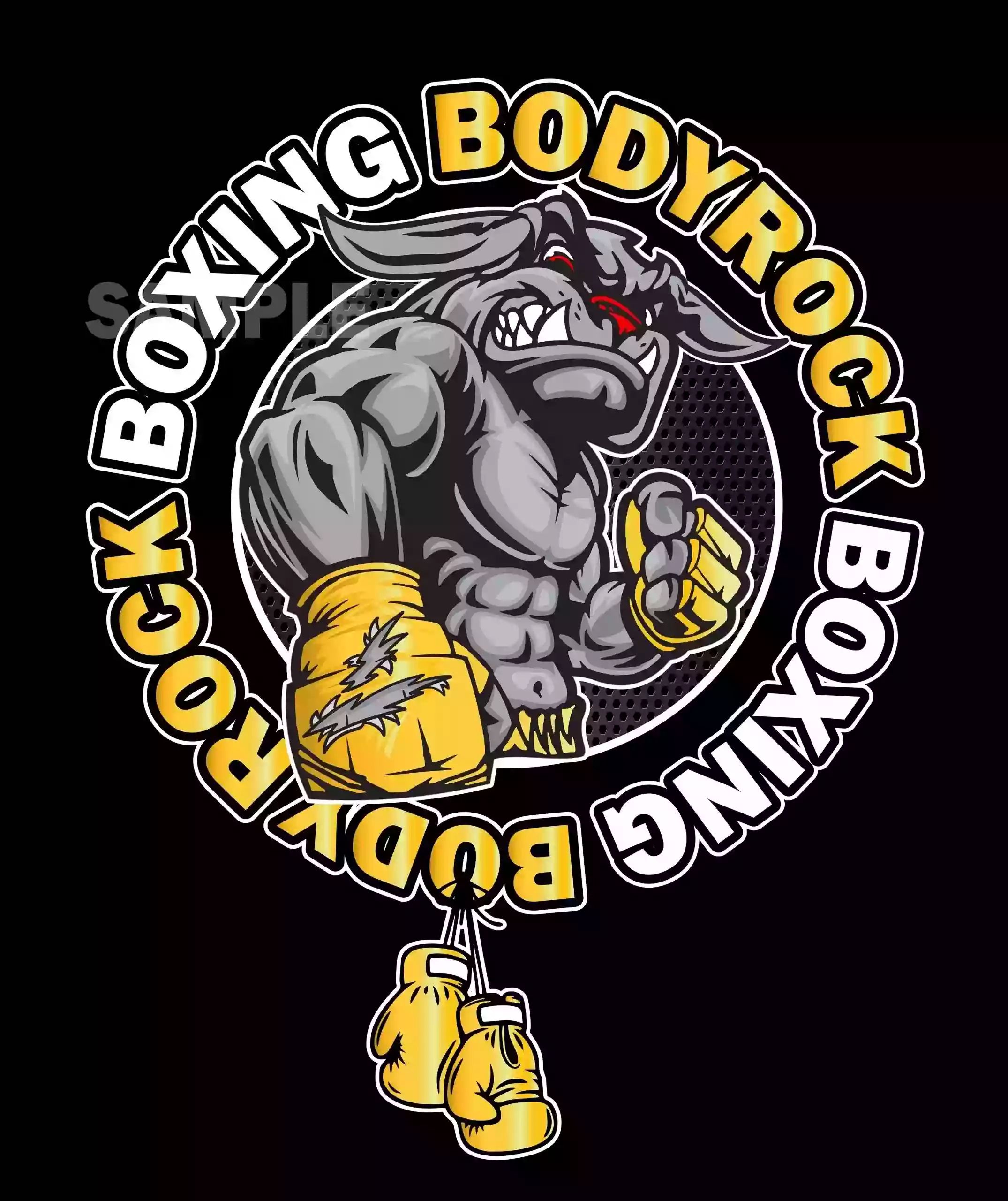 Body Rock Boxing