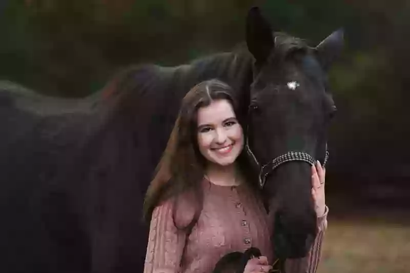 Sunny Brook Stables