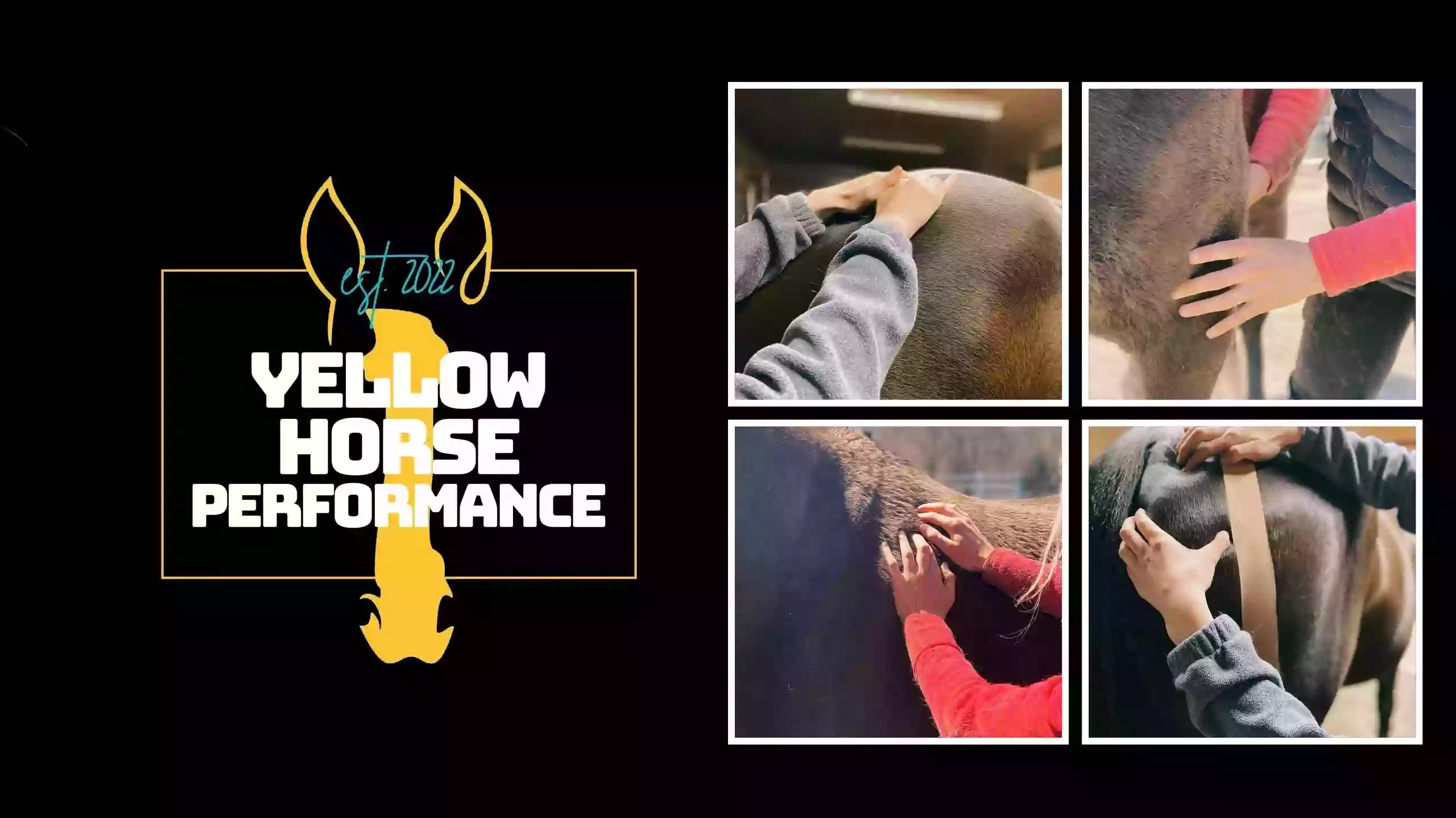 Yellow Horse Performance LLC