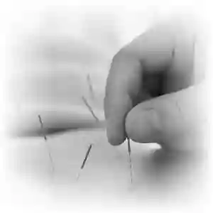 Tran Acupuncture
