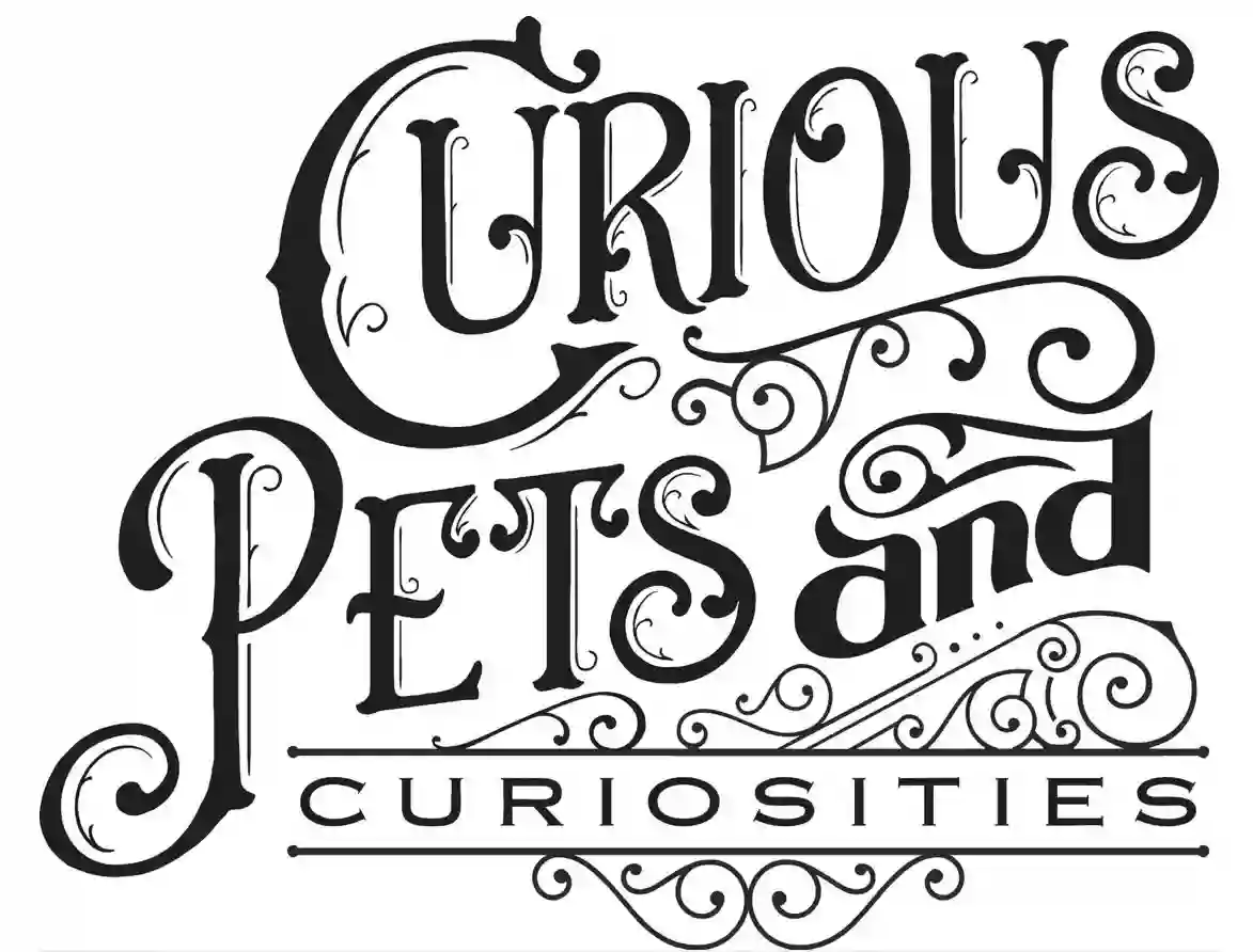 Curious Pets and Curiosities, Inc