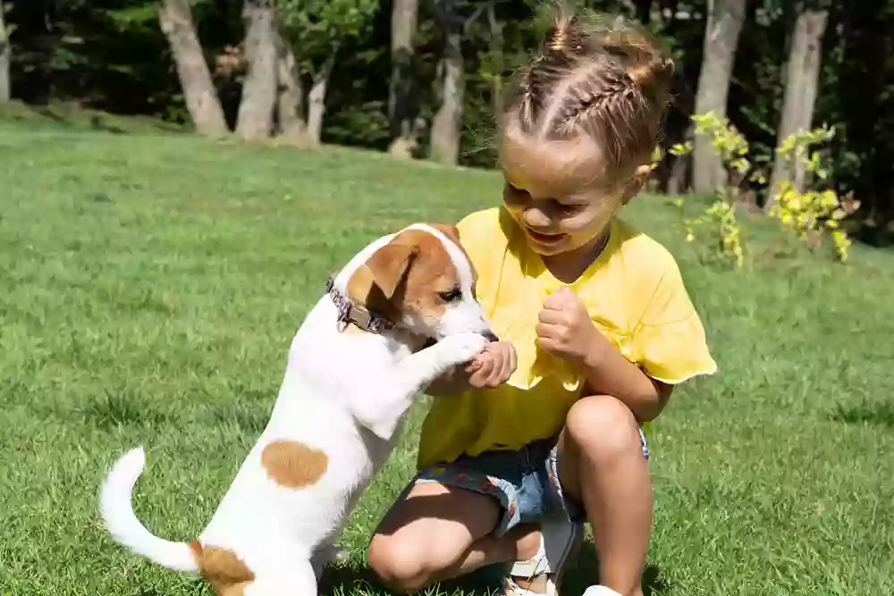 Dawson County Humane Society