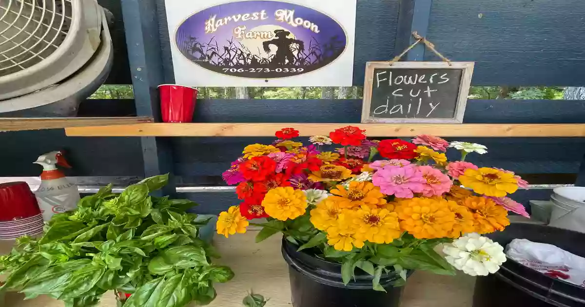 Harvest Moon Farm Ellijay