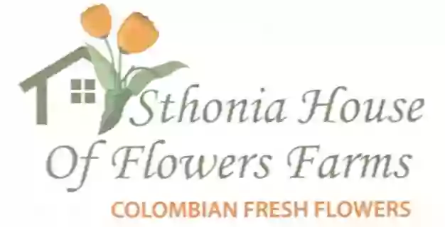 Sthonia Flowers