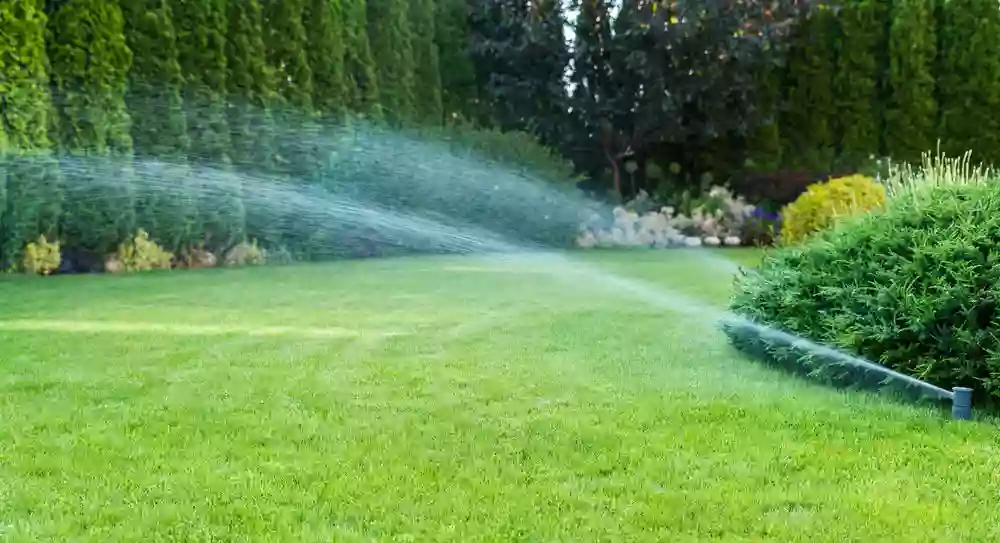 Irrigation Repair Services