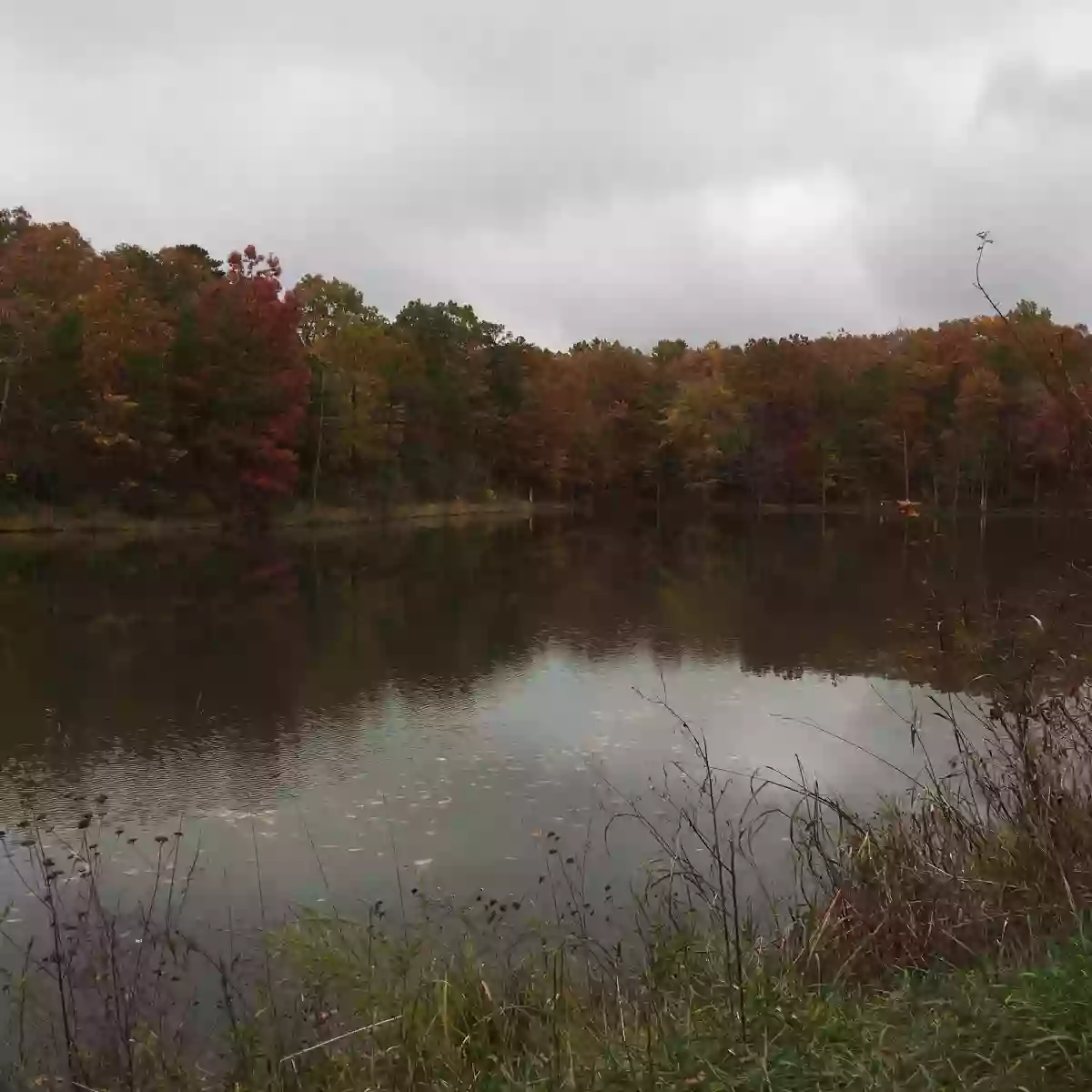 Sawmill Lake Campsite - Crockford Pigeon Mountain WMA