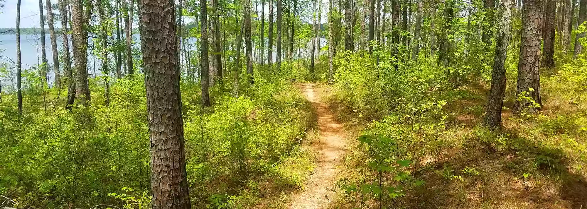 Lakeside Trails Mountain Bike Trails