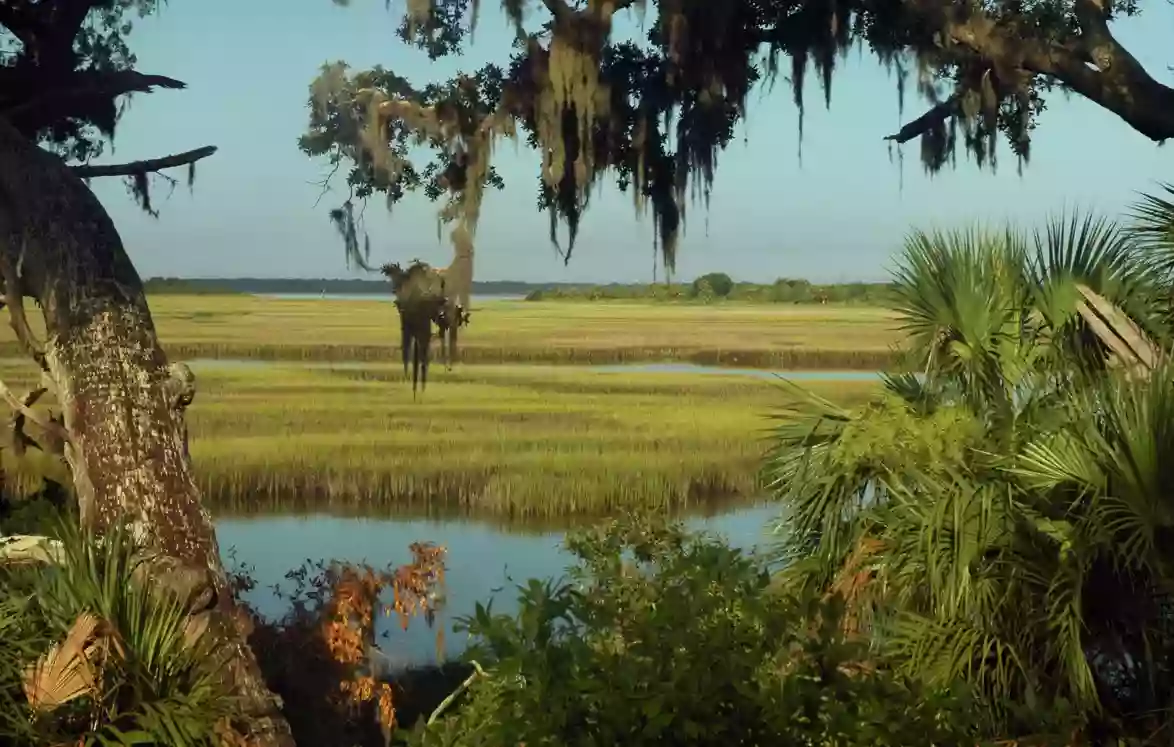 Cumberland Island National Seashore Visitor Center