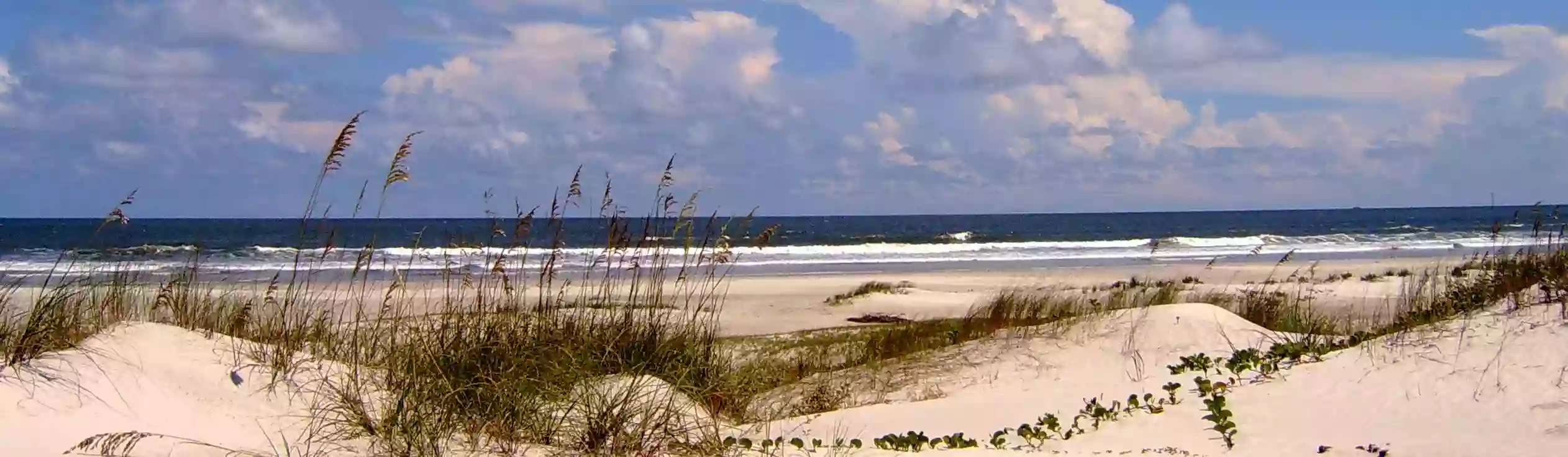 Cumberland Island National Seashore