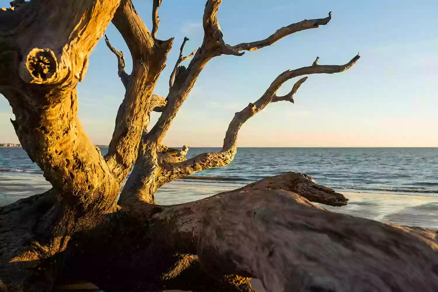 Jekyll Island Sign