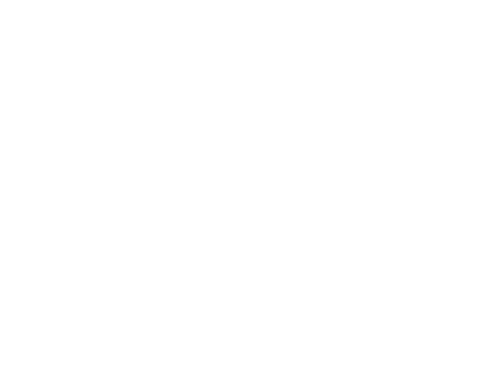 Blue Ridge Scenic Rentals LLC