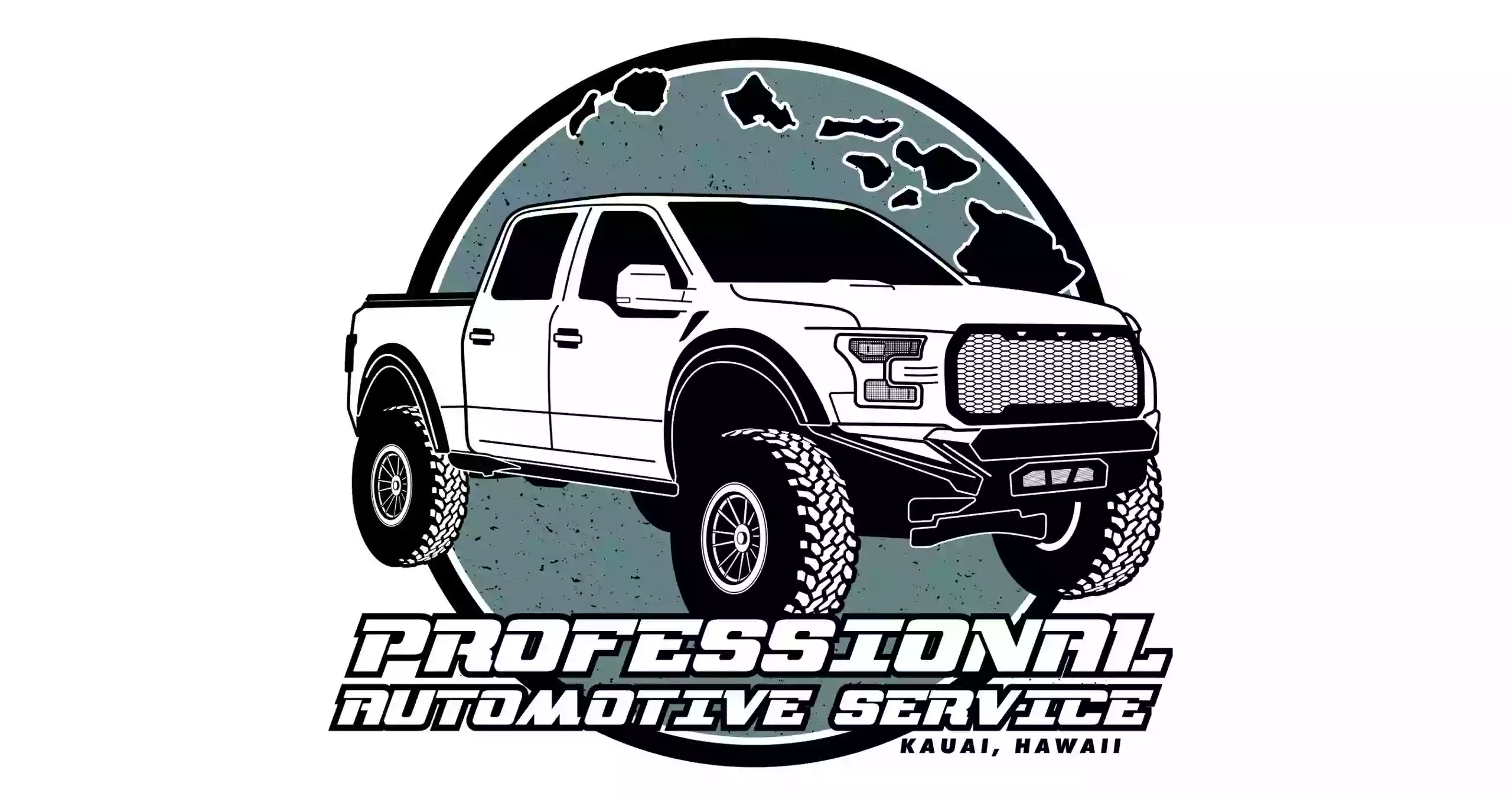 Professional Automotive Service