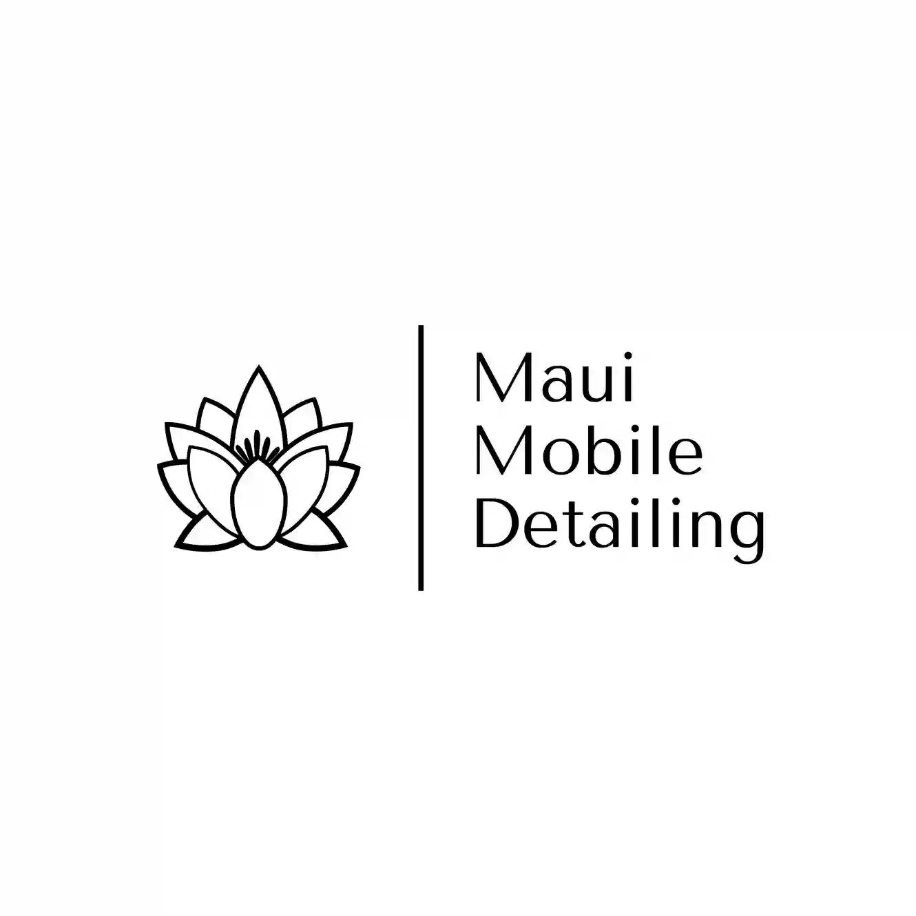 Maui Mobile Detailing