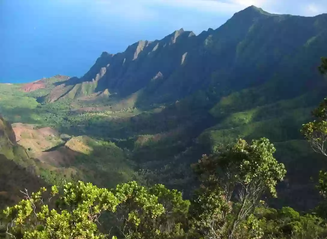 Kōkeʻe State Park Campground