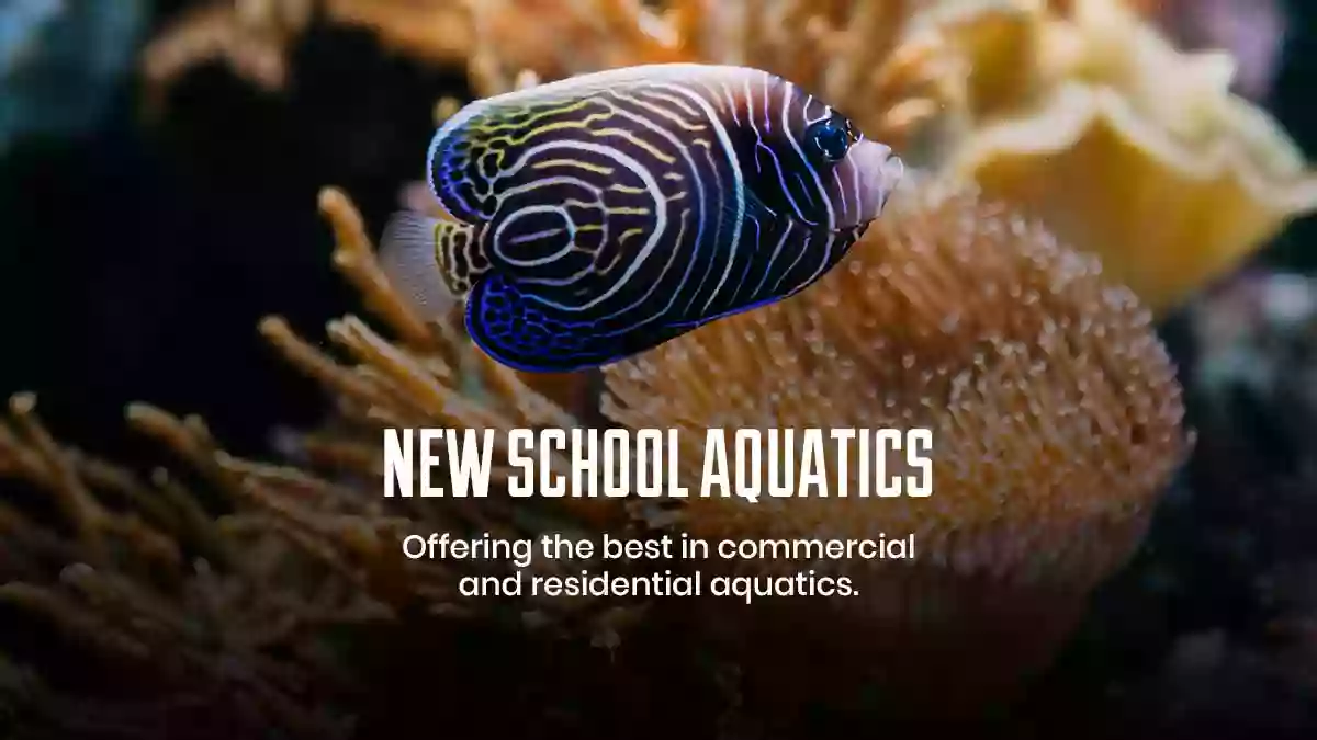 New School Aquatics, LLC