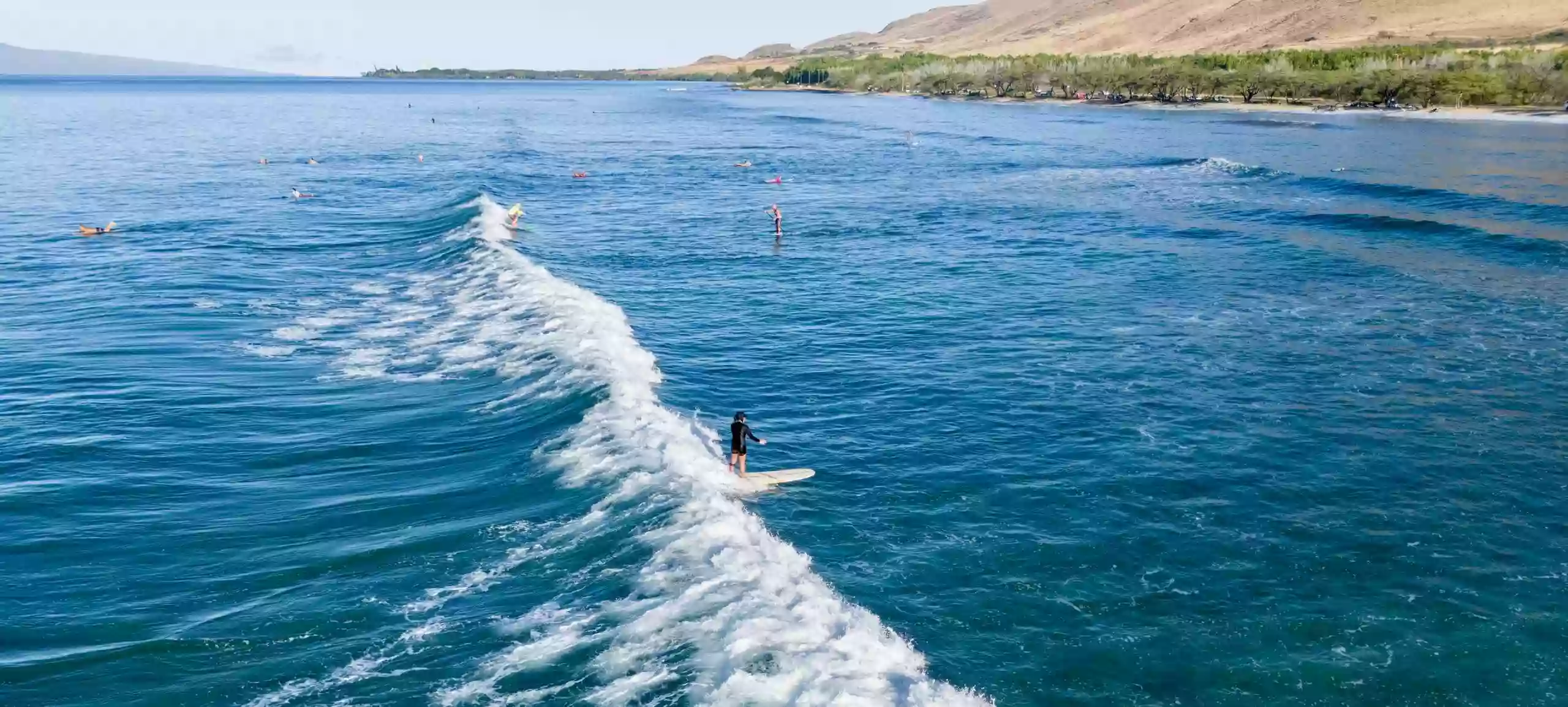 Maui Waveriders Lahaina