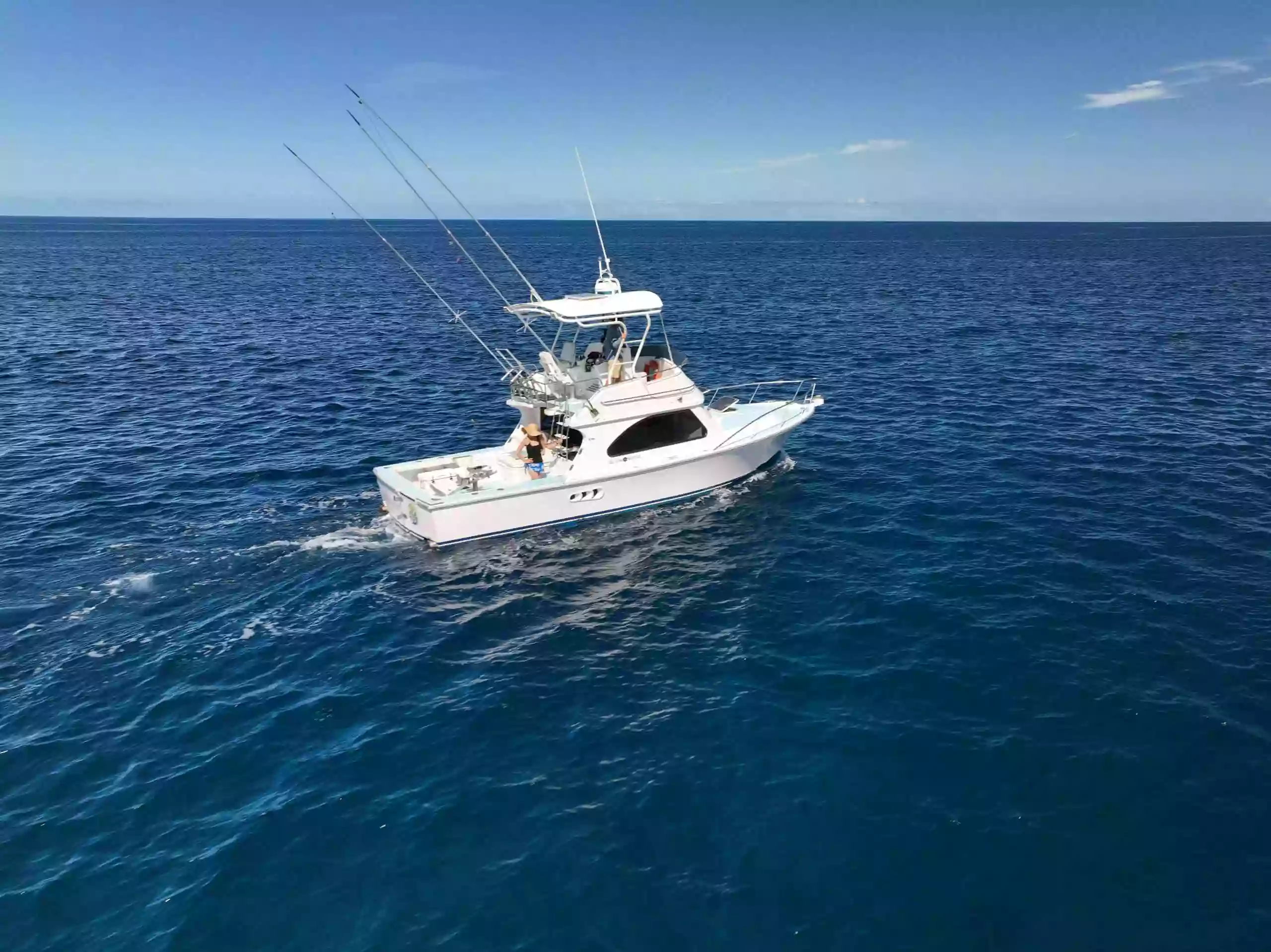 Siren Sportfishing