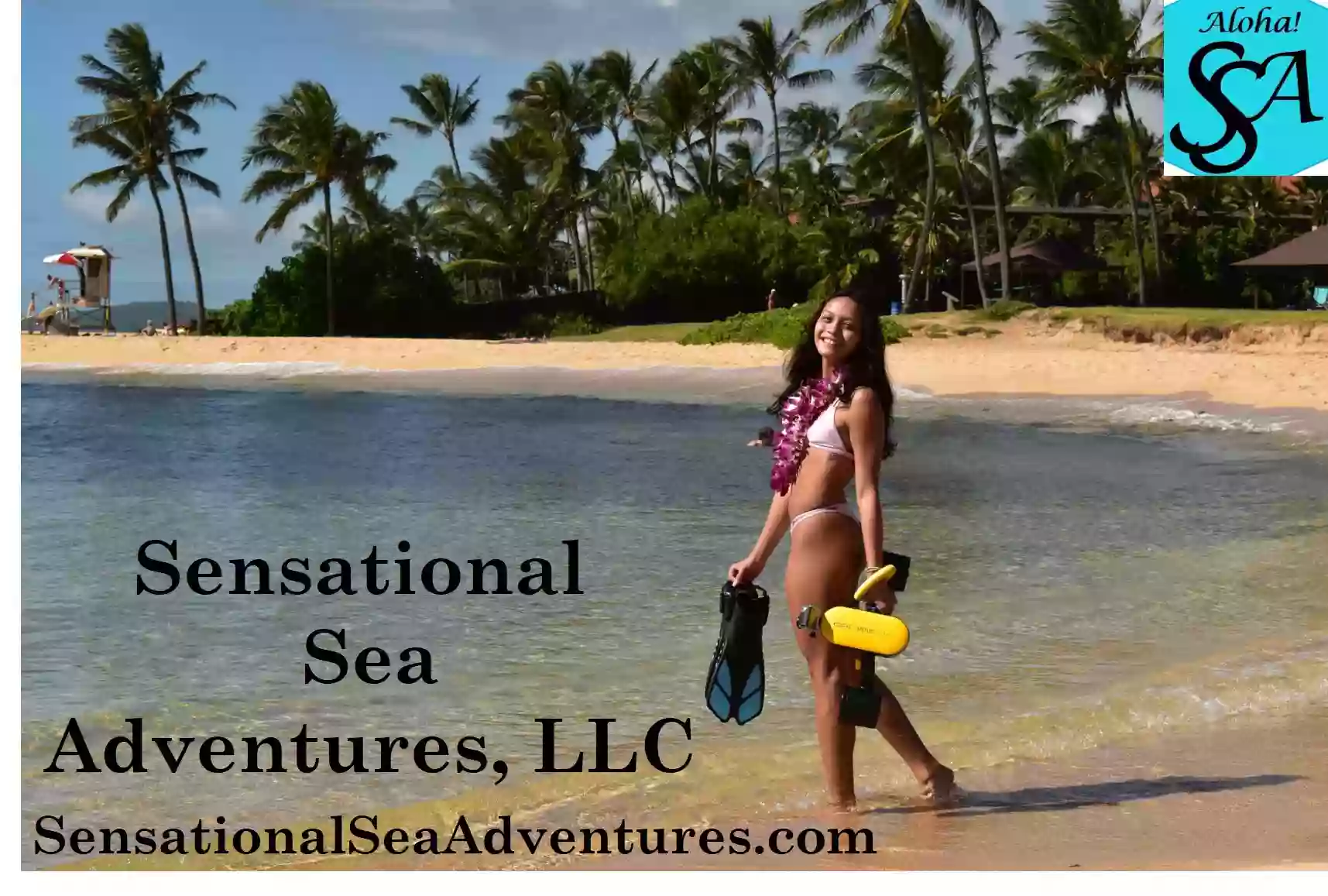 Sensational Sea Adventures