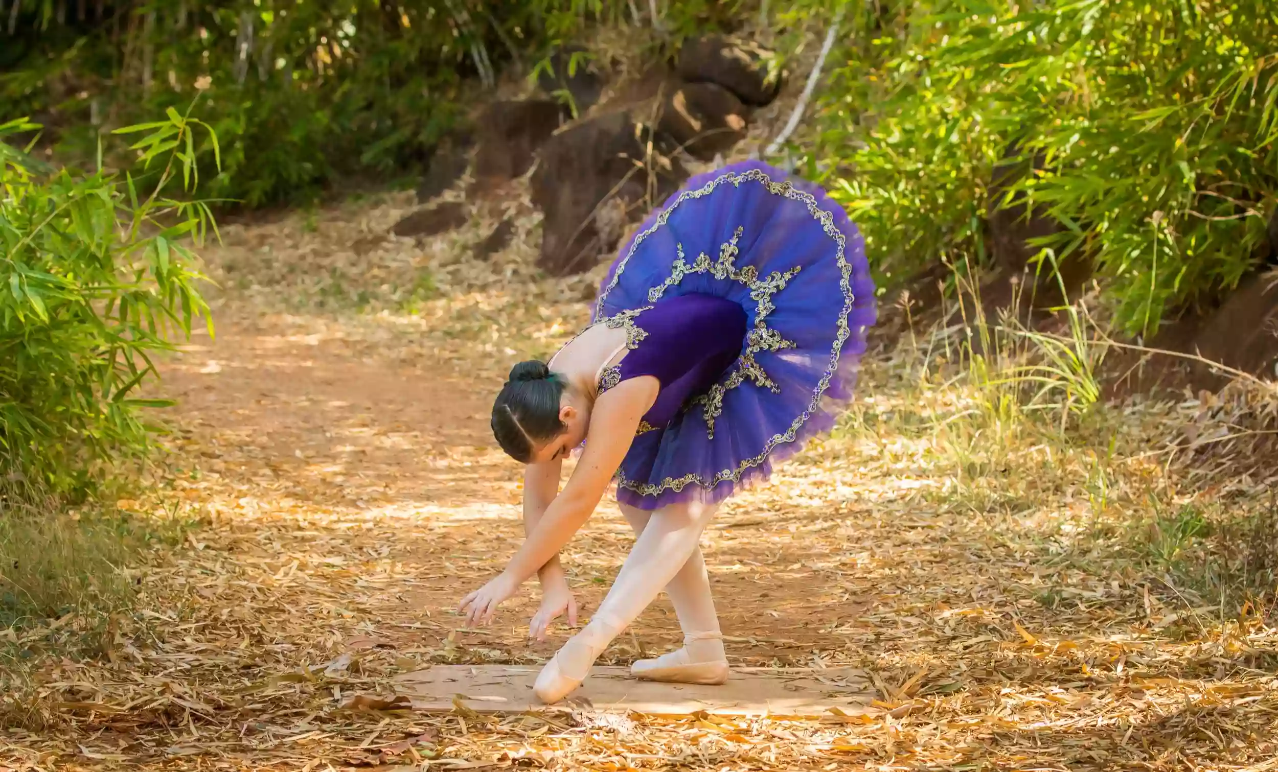 Kauai Ballet Academy