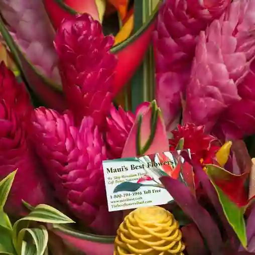 Maui's Best Flowers