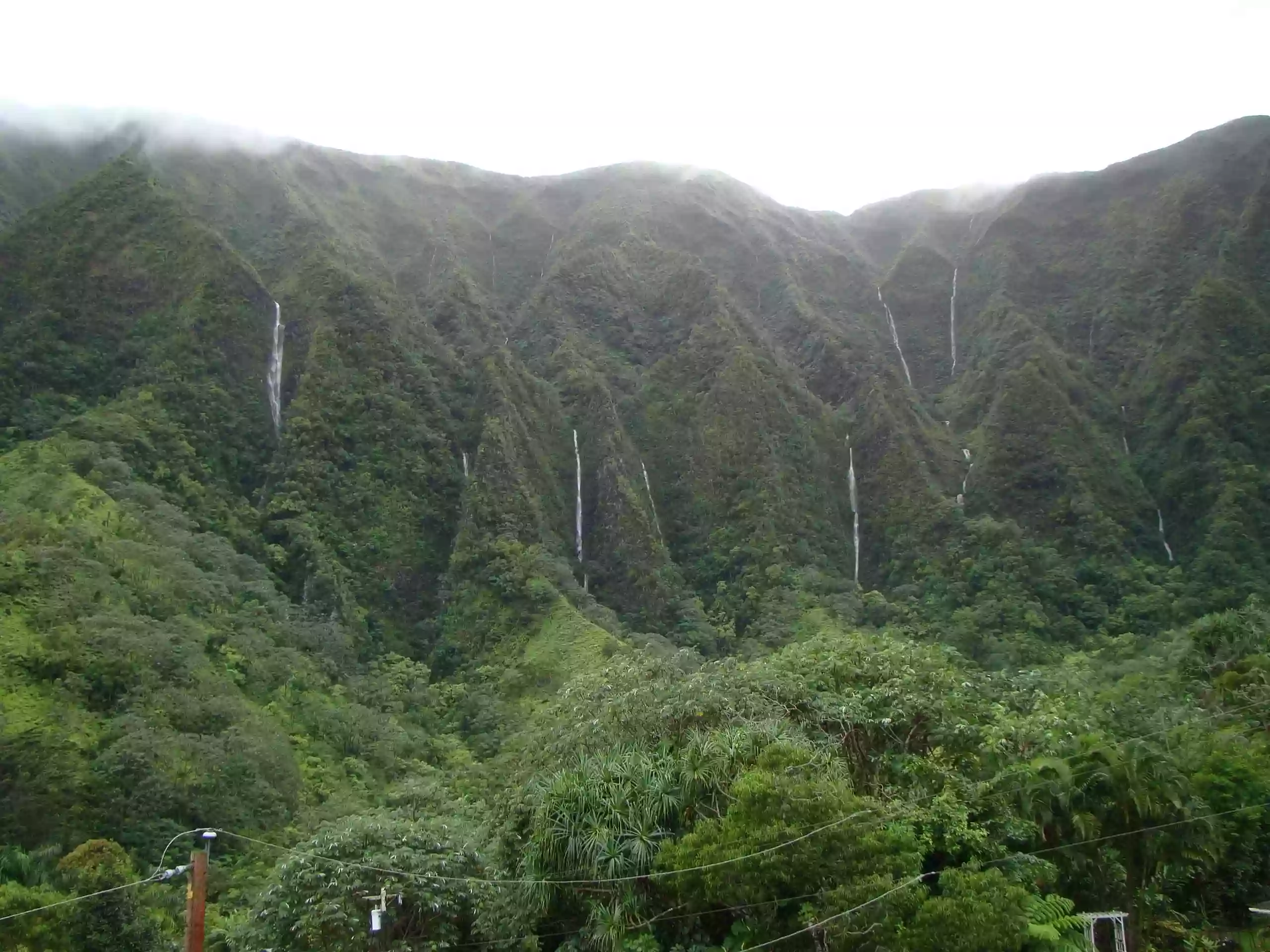 Ko'olau Bed & Biscuit