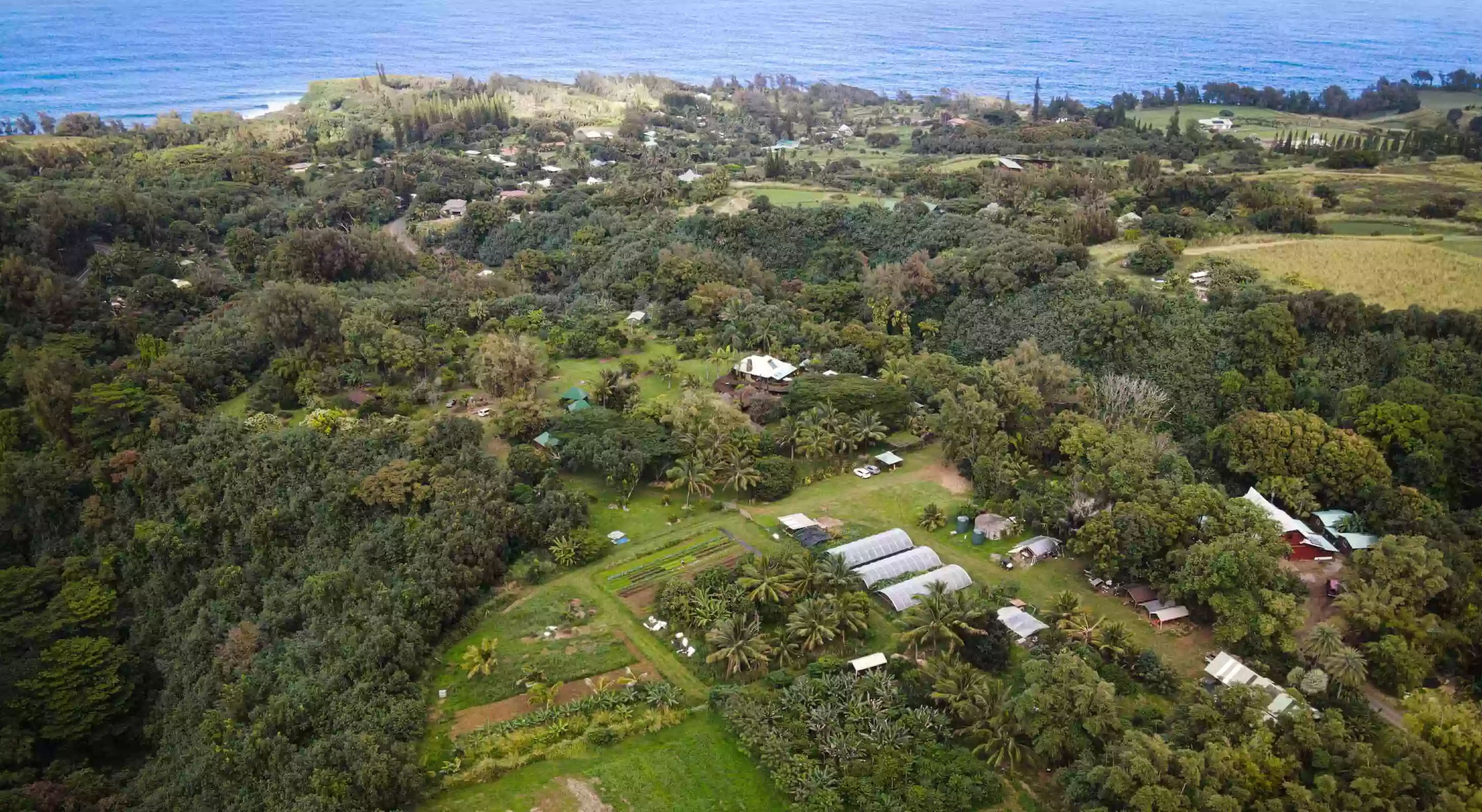 Hawai'i Institute of Pacific Agriculture