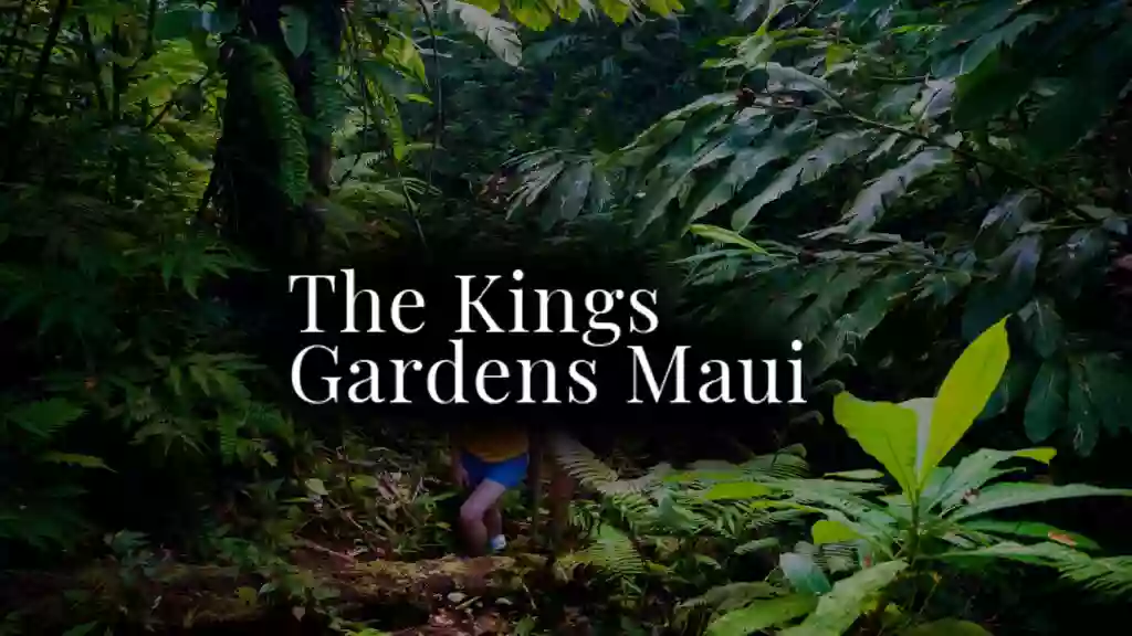 Kings Gardens Maui Private Waterfall Hike Maui & Chocolate Tour Rainforest Adventure, Grab 30% Off, Enter Code gift30