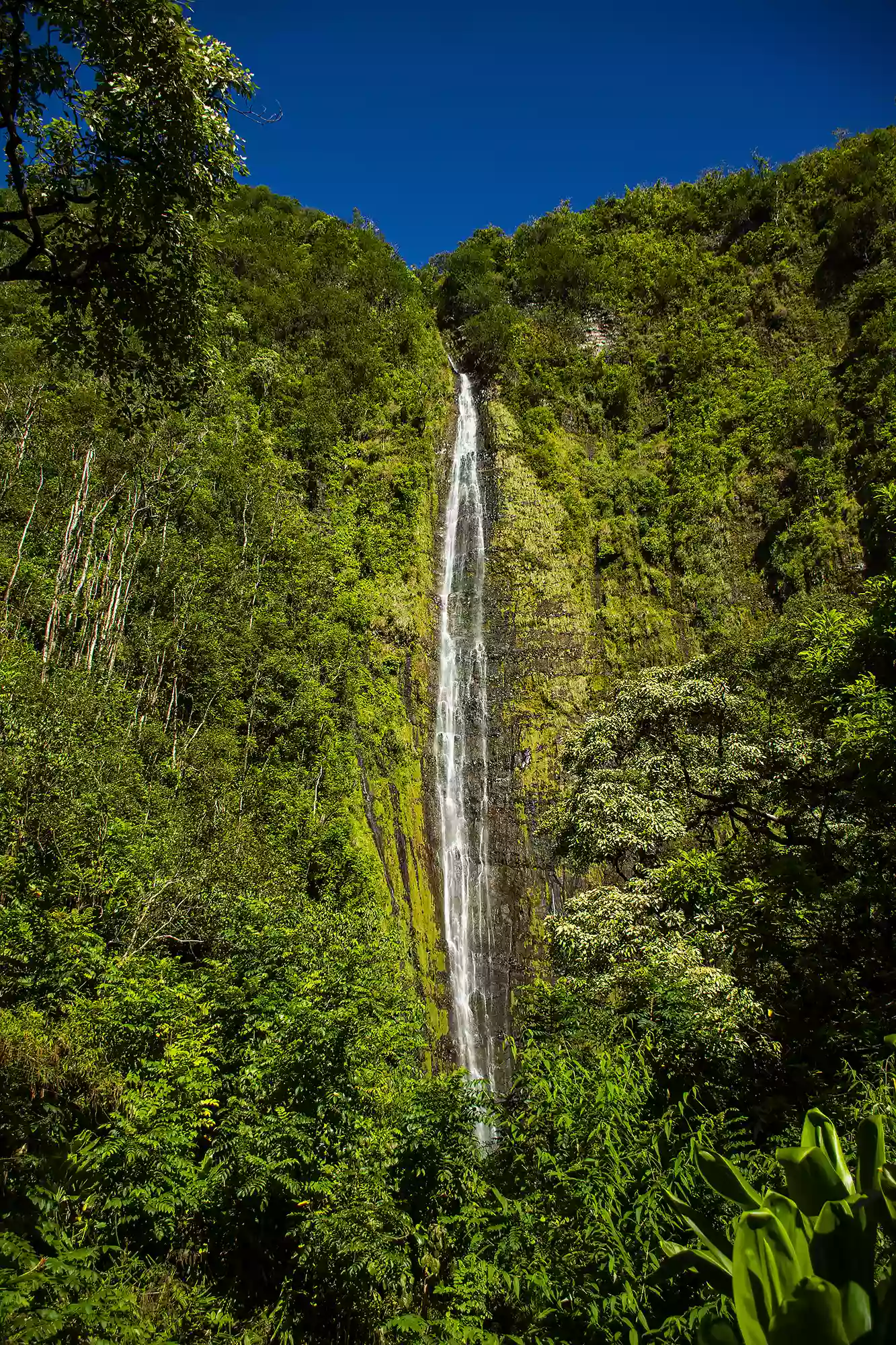 Waimoku Falls