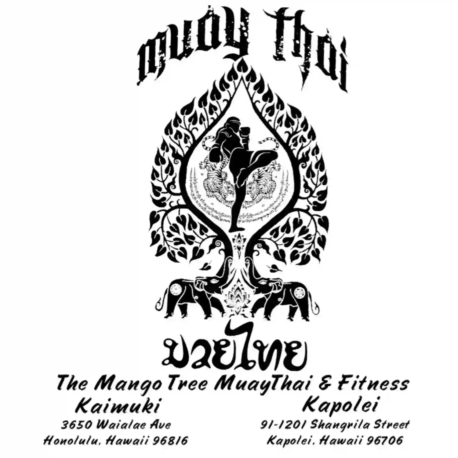 The Mango Tree Fitness and Muay Thai Hawaii Kai