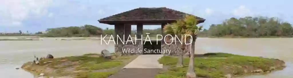 Kanaha Pond State Wildlife Sanctuary