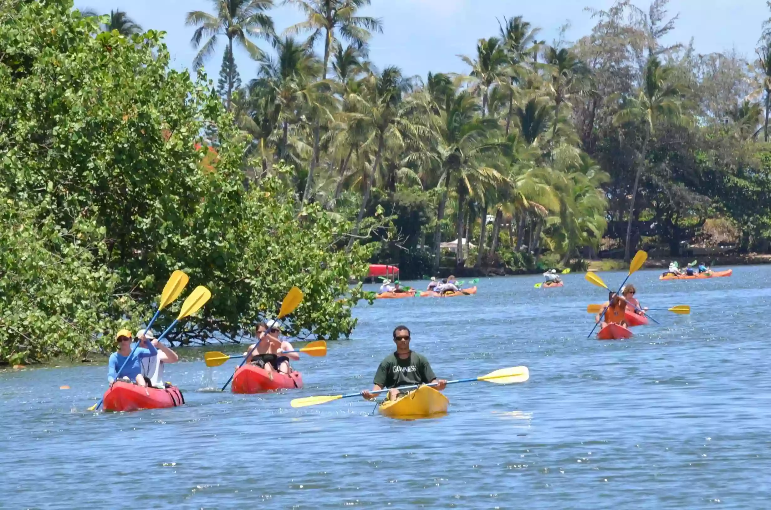 Kayak Tours Kauai