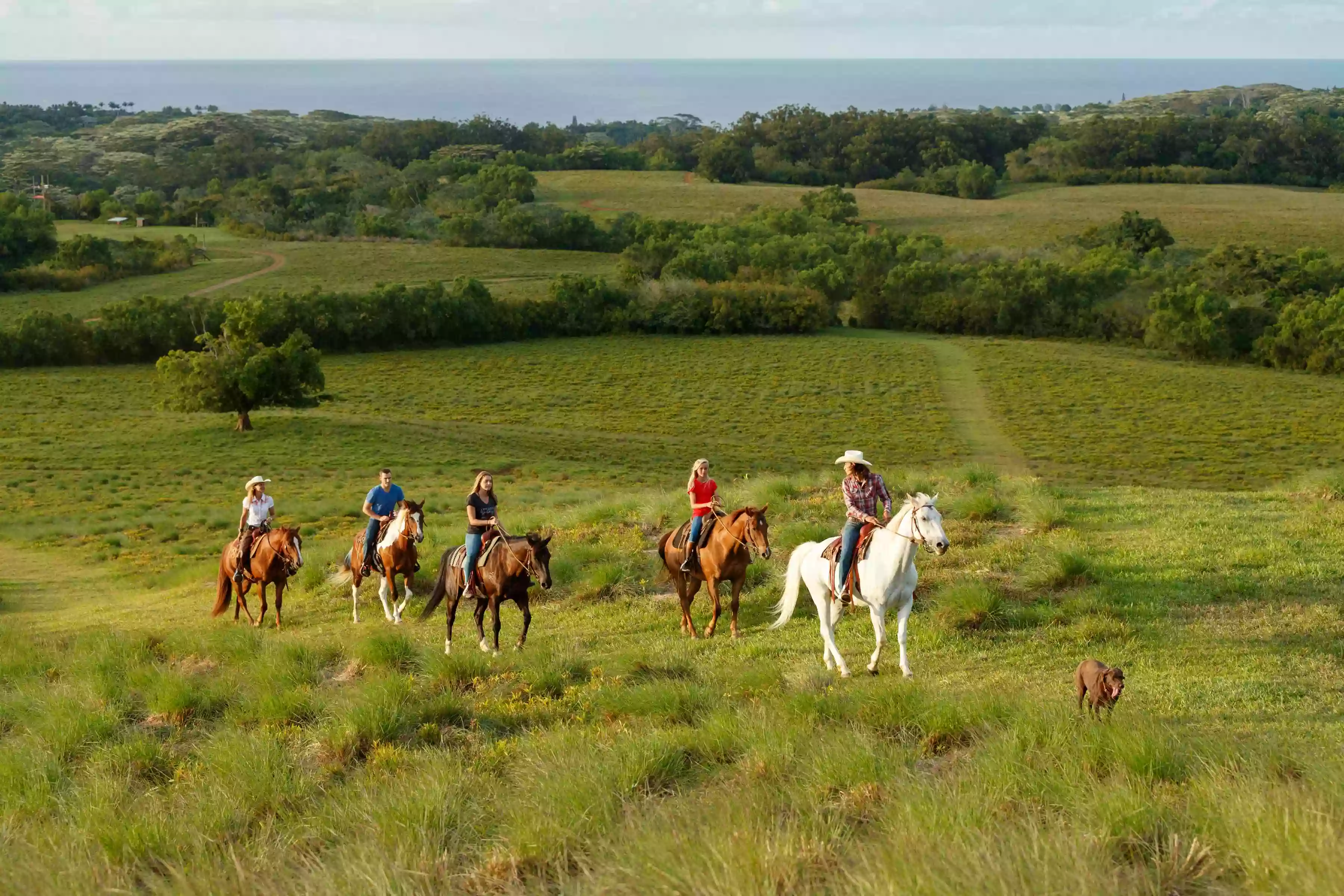 Princeville Ranch