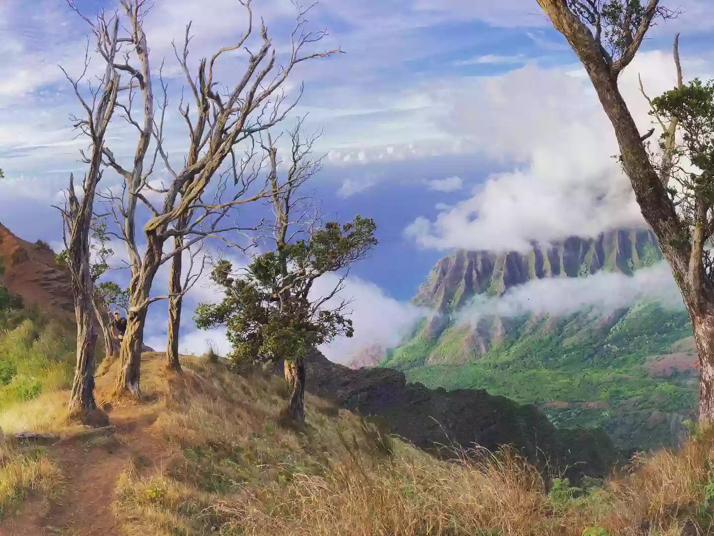 Hike Kauai