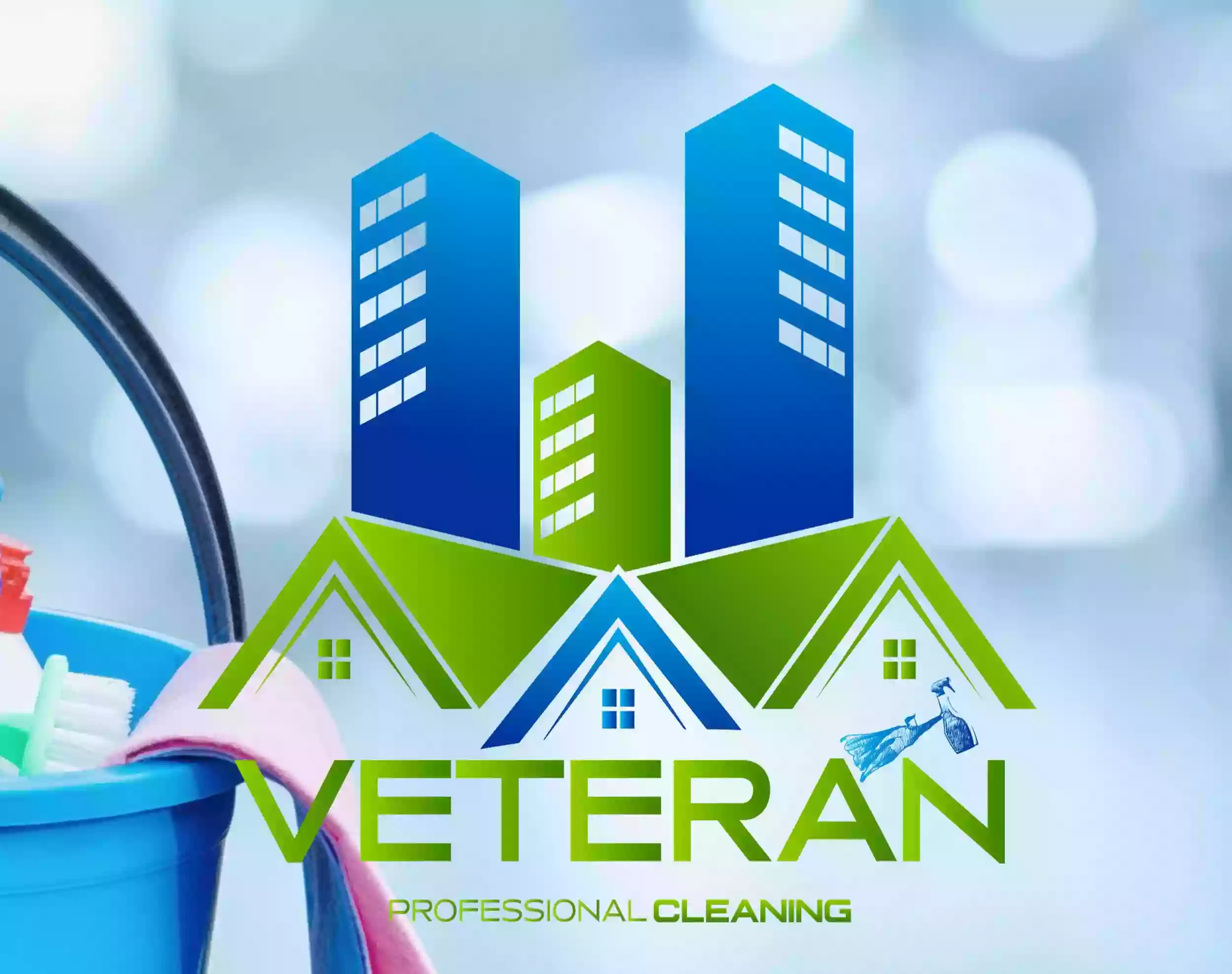 Veteran Professional Cleaning