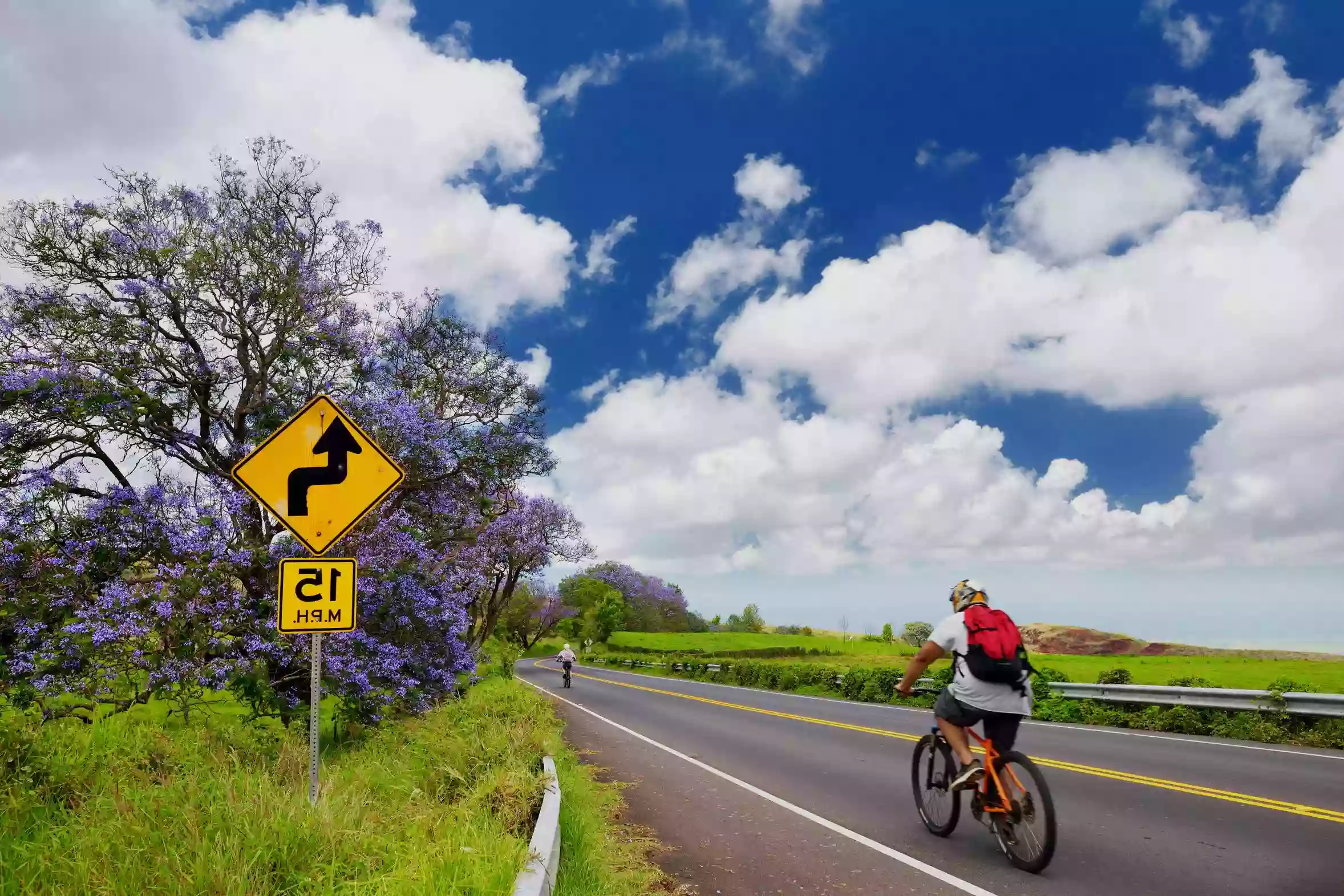 Maui Mountain Cruisers