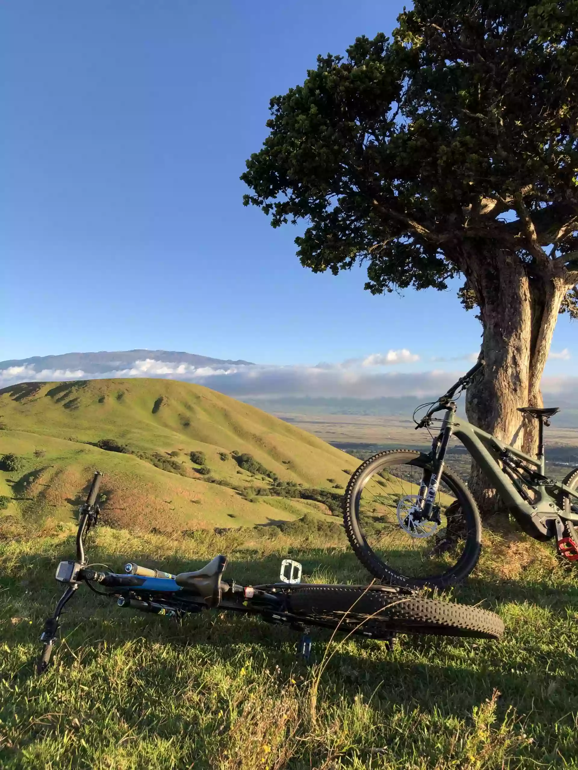 Big Island Bike Tours And Rentals