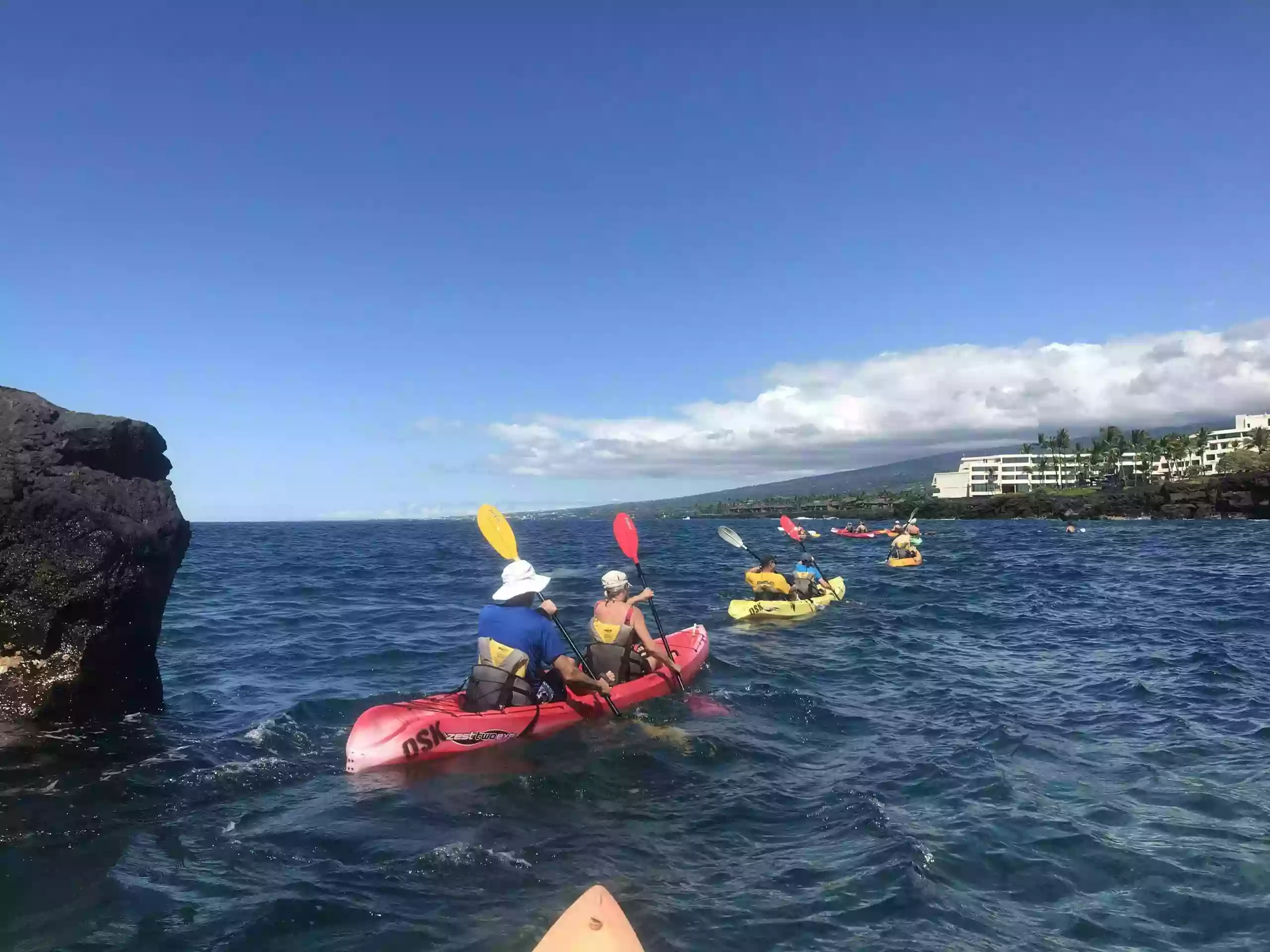 Ocean Safaris Kayak Adventures