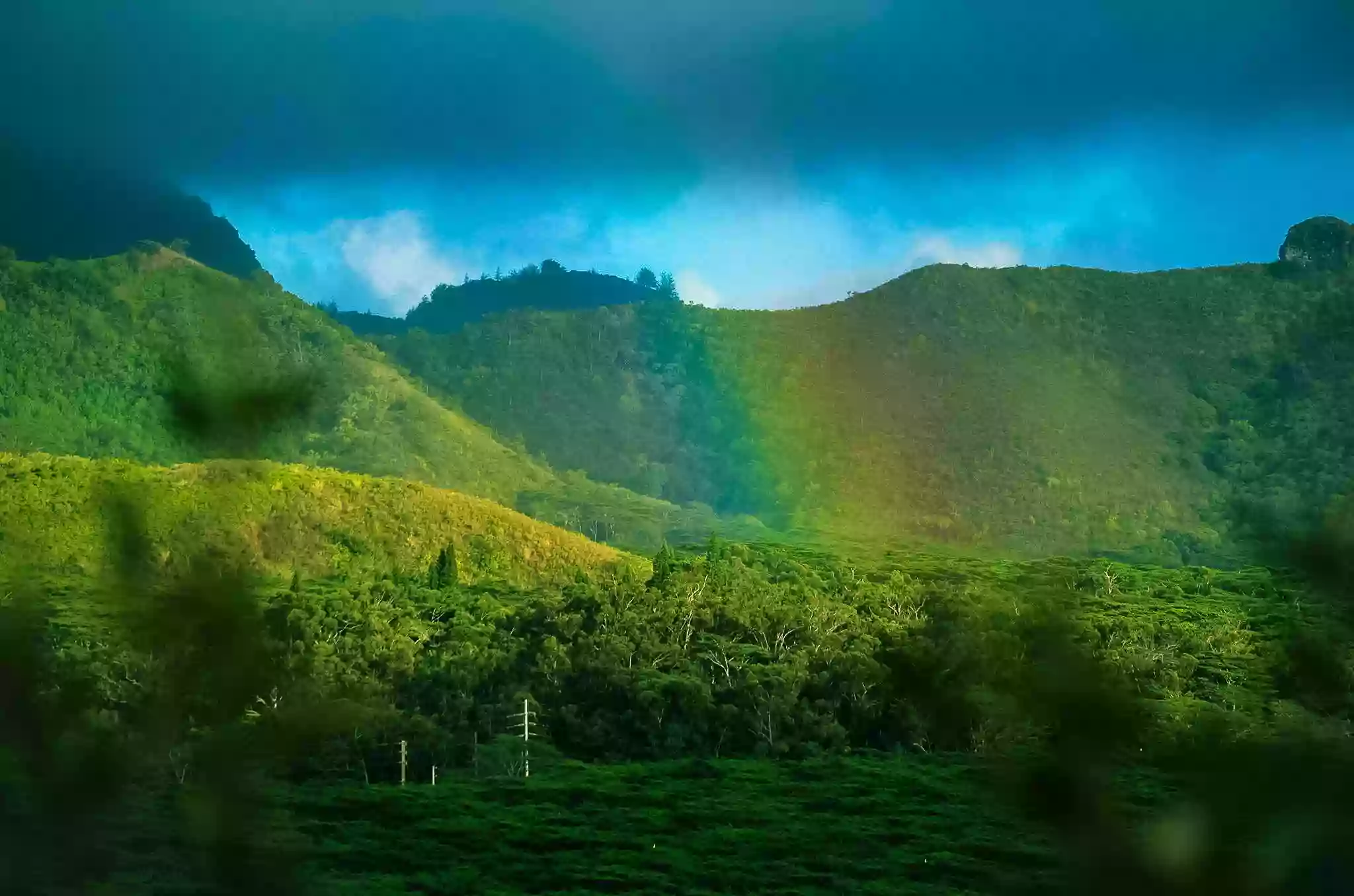 Koloa Zipline