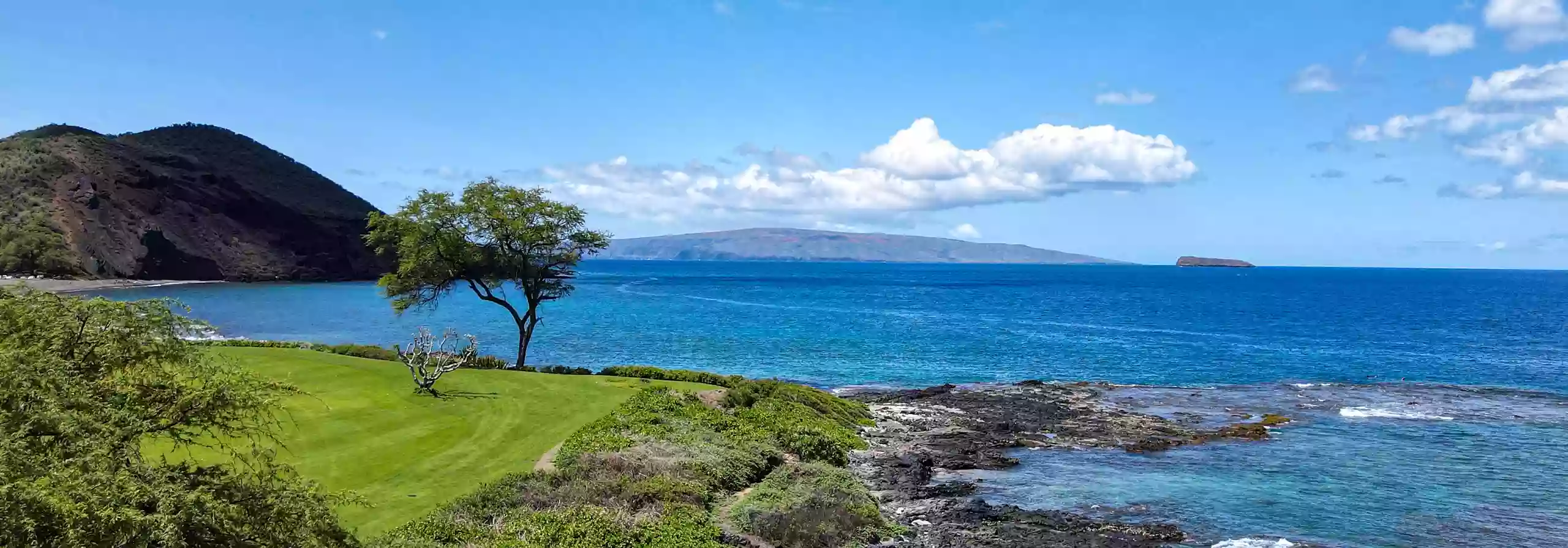 Evan Harlow | Maui Realtor