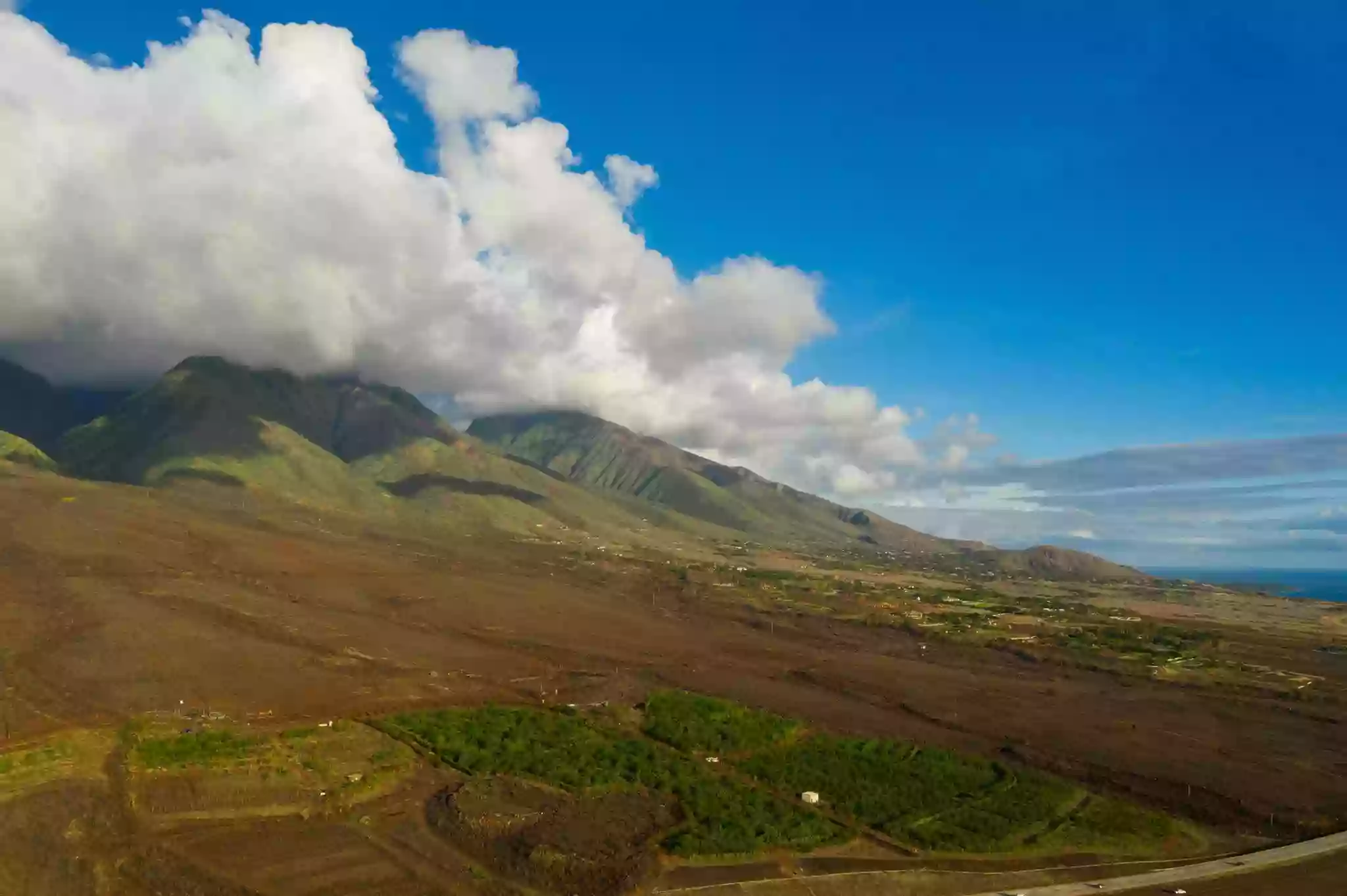 Maui Chocolate Tour