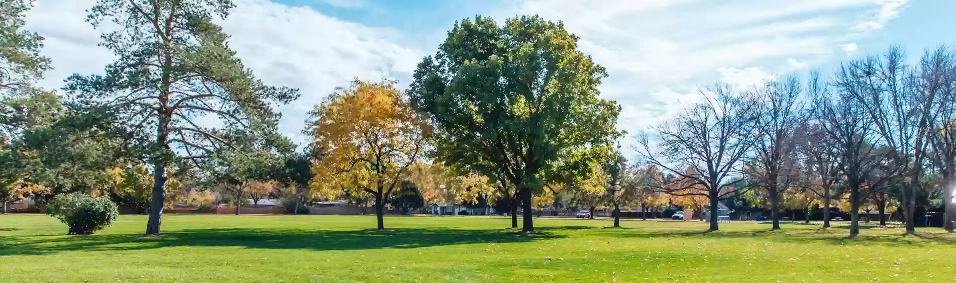 Ivywild Park