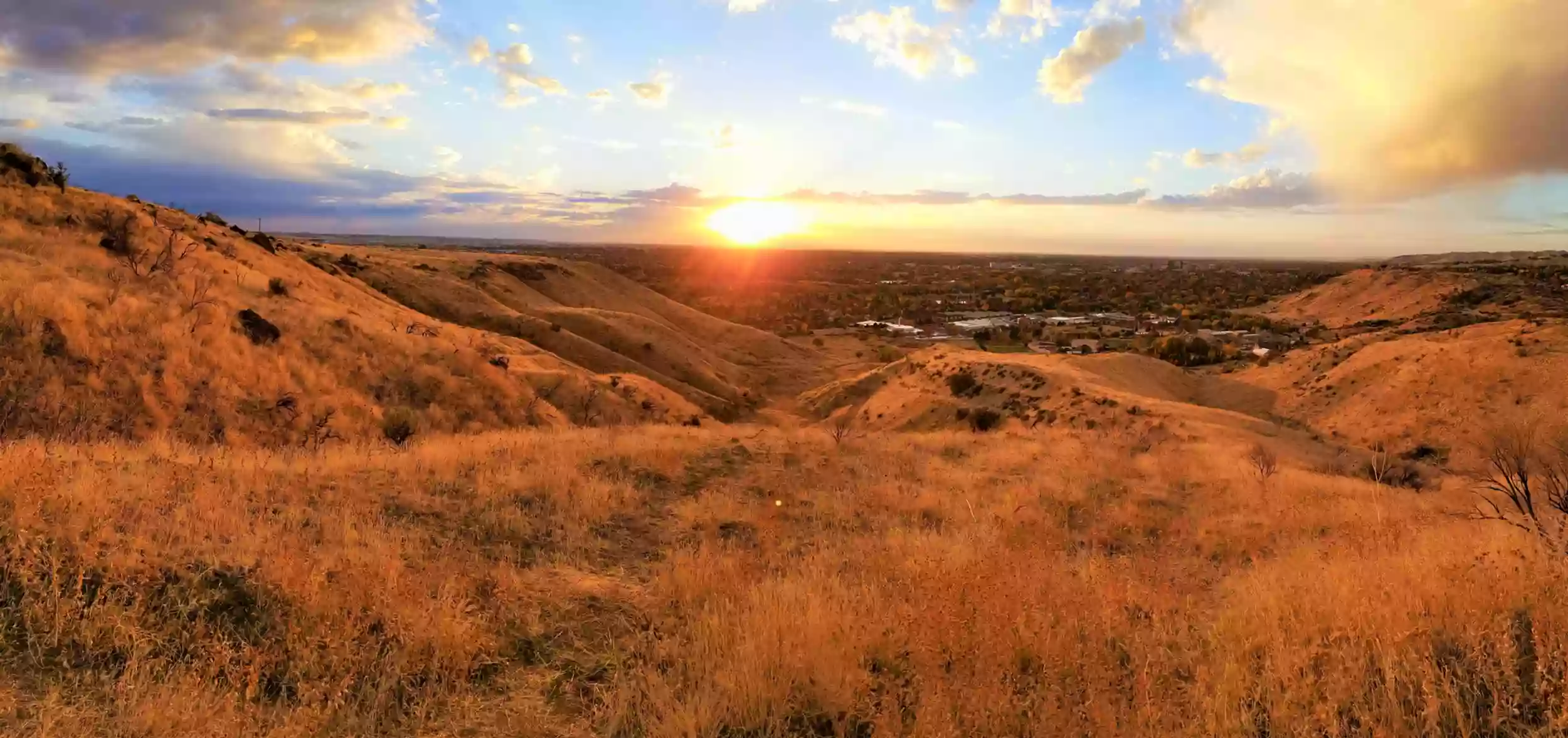 Chinese Medicine of Idaho | Acupuncture & Herbal Medicine Clinic