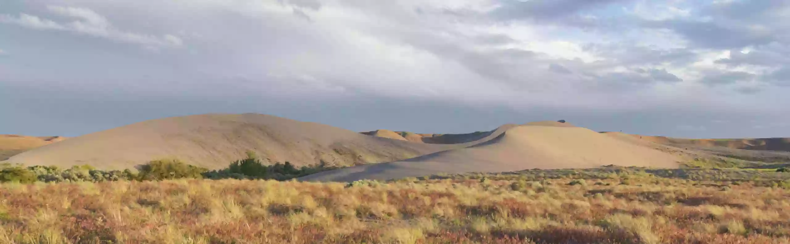 Bruneau Dunes State Park