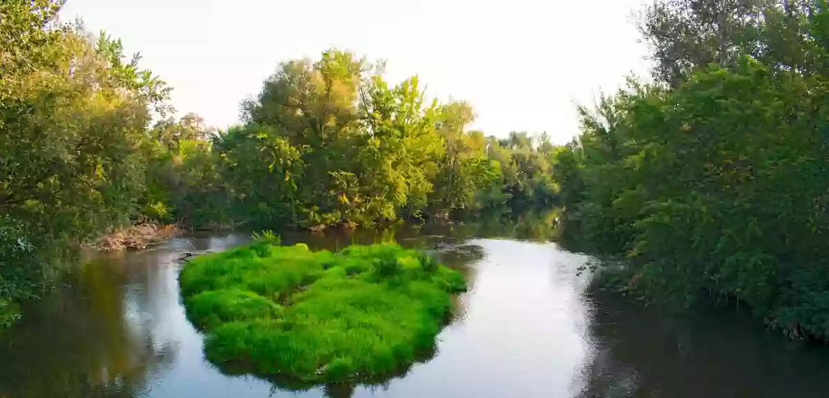 Eagle Island Disc Golf Course