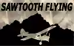 Sawtooth Flying Service